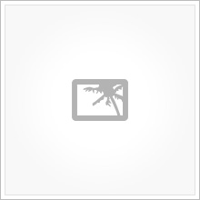 badge_klic