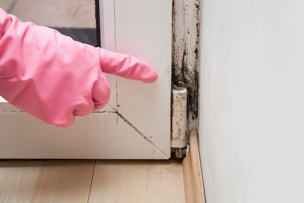 Eine Frau zeigt mit dem Finger auf den Schimmel an der Tür