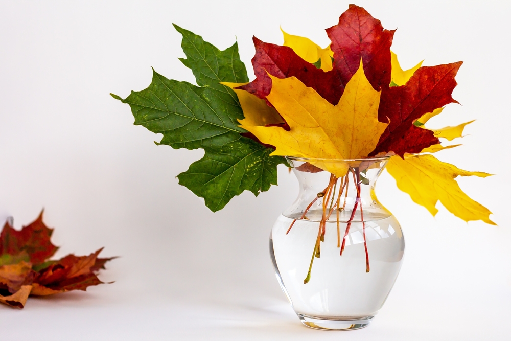 Herbstdekor: bunte Blätter